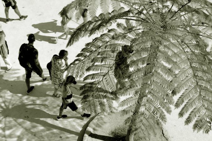 civil society networks; Copyright: Eva Pudill